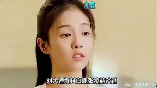 白鹿爆料娱乐圈,娱乐圈背后的真实故事 第3张 白鹿爆料娱乐圈,娱乐圈背后的真实故事 第3张