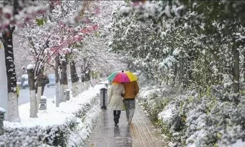昆明爆料下雪事件最新情况,市民欢声笑语迎瑞雪  第2张