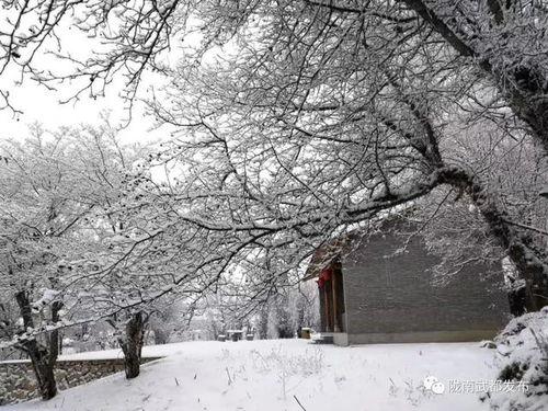 昆明爆料下雪事件最新情况,市民欢声笑语迎瑞雪  第3张