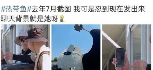 热巴机场爆料视频大全集,时尚穿搭与魅力瞬间大盘点 第2张 热巴机场爆料视频大全集,时尚穿搭与魅力瞬间大盘点 第2张