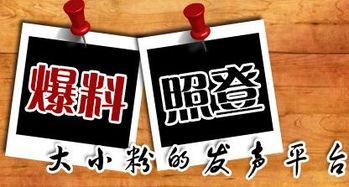 邯郸本地新闻爆料平台,聚焦本地热点，揭秘事件真相