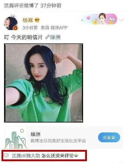 娱乐圈吃瓜小王,揭秘明星幕后故事，带你领略娱乐圈风云变幻