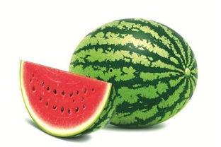 小驰驰娱乐吃瓜