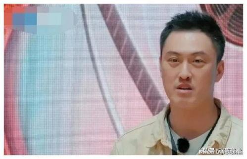 娱乐圈吃瓜博主是谁,揭秘幕后真相，带你走进明星生活