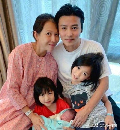 吃瓜鹅娱乐圈完整版,揭秘明星幕后故事，带你领略娱乐圈风云变幻